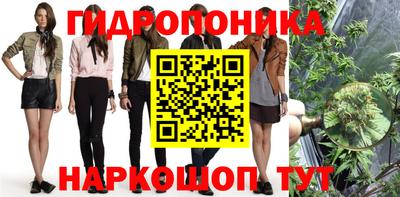 дмт Нальчик