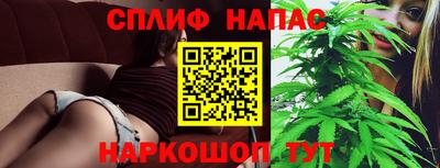 дмт Нальчик