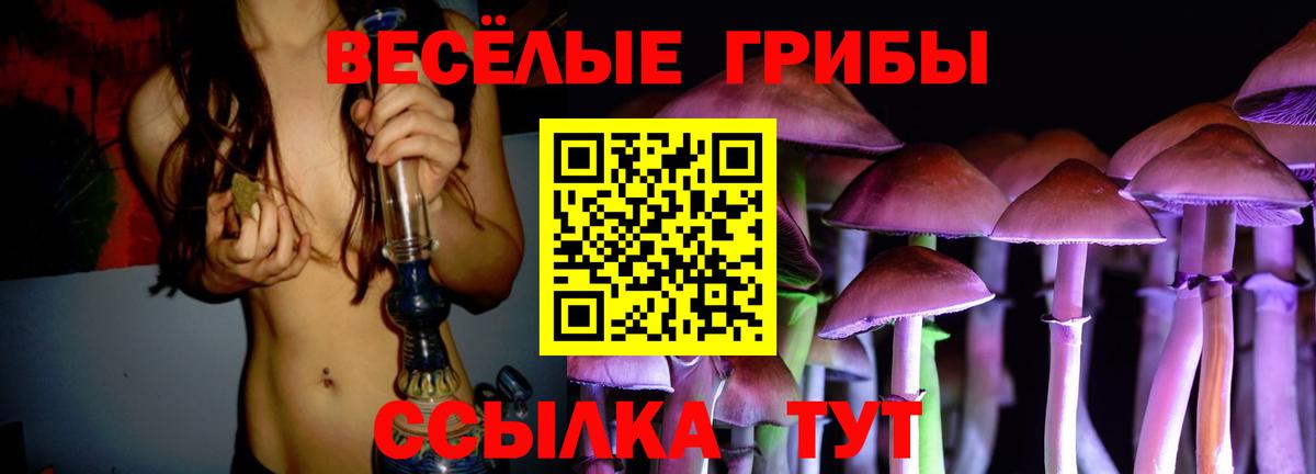 Псилоцибиновые грибы Magic Shrooms  Вход с VPN  Галлюциногенные грибы GOLDEN TEACHER  Ревда 